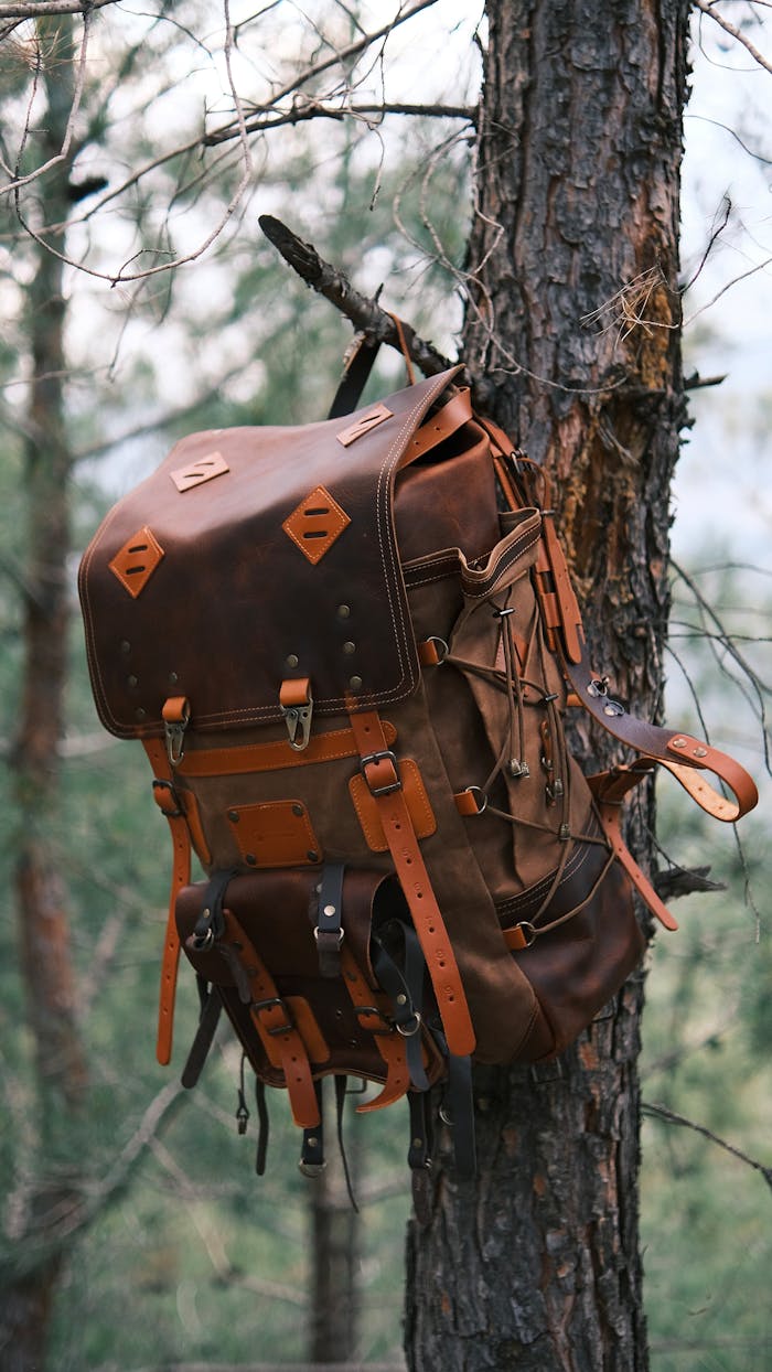 services-03 A rustic leather backpack hangs on a tree in a forest setting, ideal for outdoor adventure themes.
